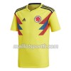 Maillot de Foot Colombie Femme Domicile Coupe du monde 2018